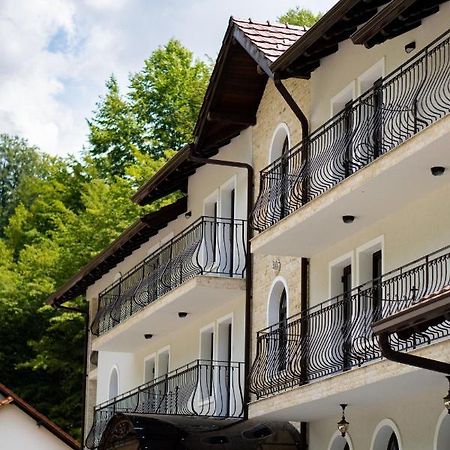 Perla Dacilor Otel Gradistea de Munte Dış mekan fotoğraf