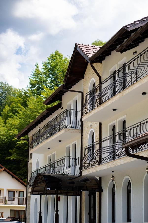 Perla Dacilor Otel Gradistea de Munte Dış mekan fotoğraf